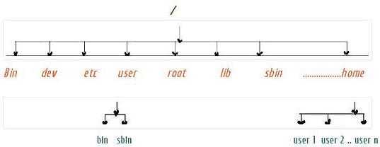 Directory Structure And Basic Commands To Start Using Linux
