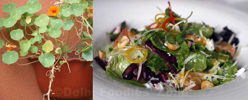 Dirty Apron, Safdarjung Enclave Market