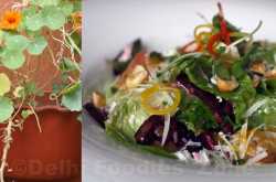 Dirty Apron, Safdarjung Enclave Market