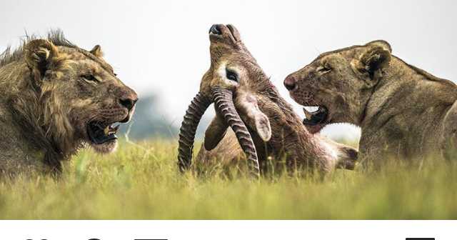 Disclaimer - Any Similarity With People, Leaders, Politicians Was Intended