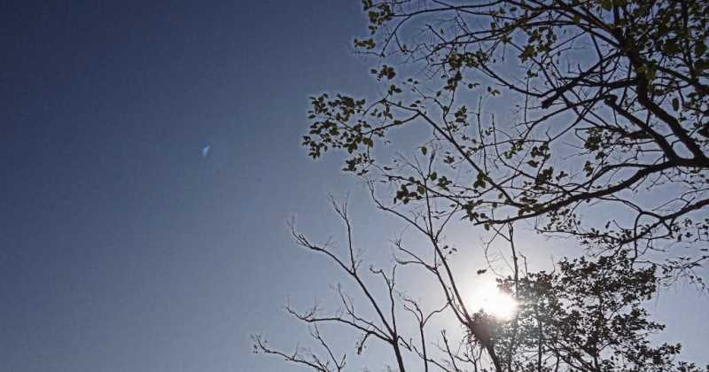 Discovering The  Maunderer In The Charm Of Chandigarh - Part II