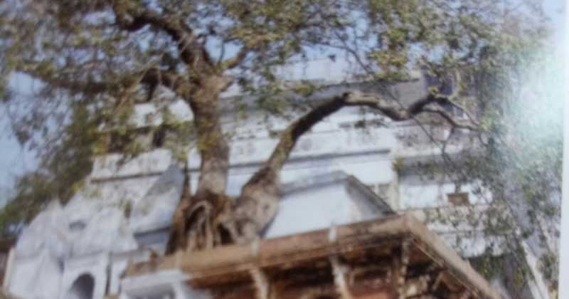 Discovering Tulsidas In Tulsi Ghat 