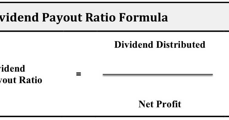 Dividend Payout Ratio