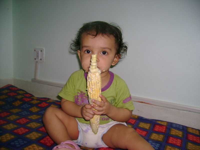 Do Fast ! Season Of Corn Is Get To Over ...