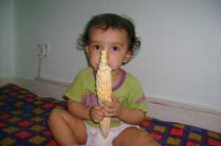 Do Fast ! season of Corn is get to over ...