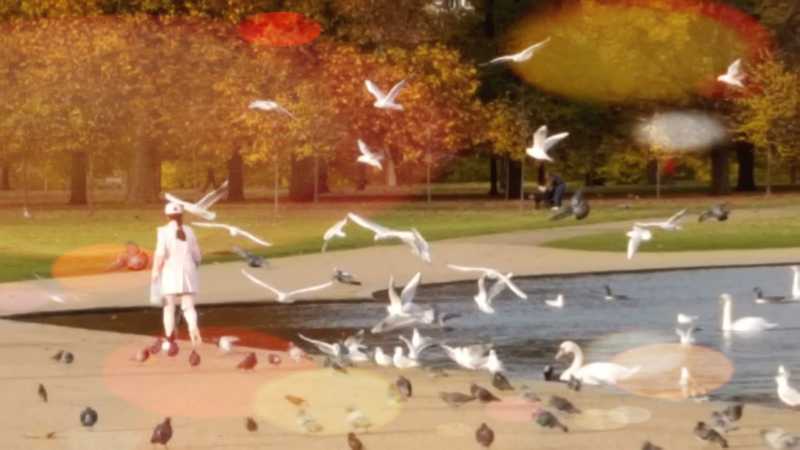 Do I Remember Anything? 