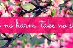 Do NO HARM, take NO SHIT!