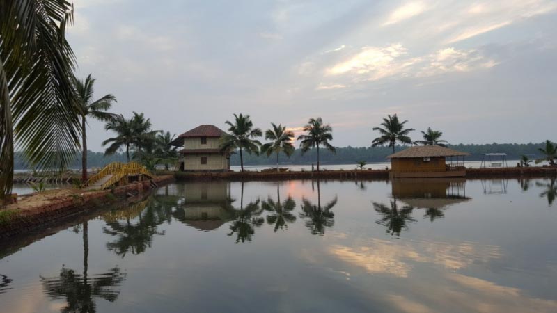 Do Not Be Afraid #WednesdayVerses - Sulekha Rawat: Memoirs