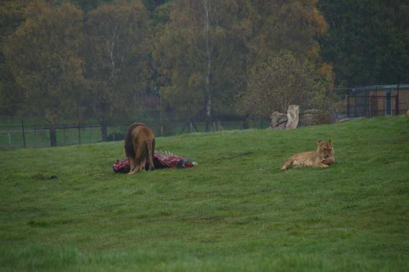 Do You Have An Instinct?