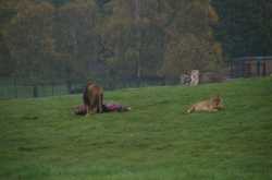 Do You Have an Instinct?