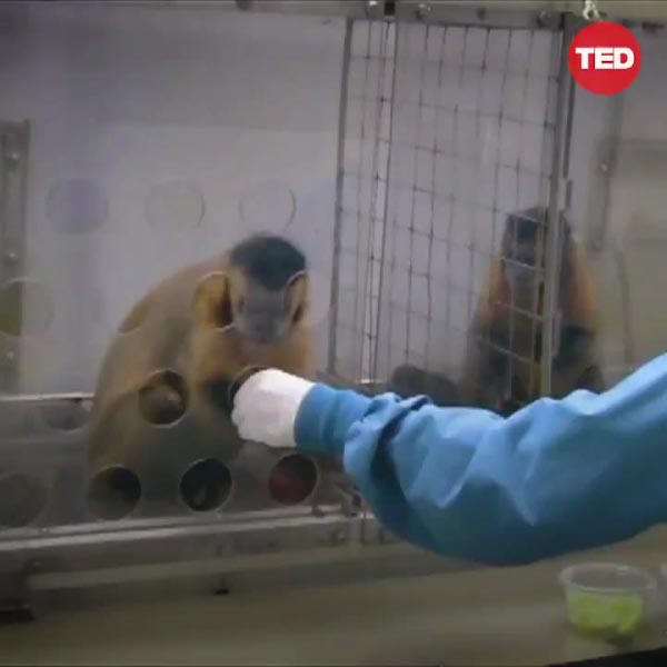 Do You Know Why The Salaries Are Confidential?