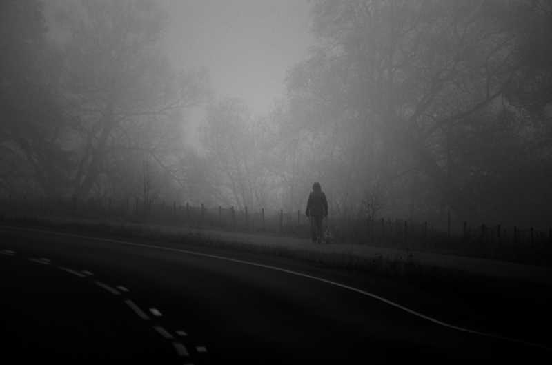 Do Not Be Afraid Of Dark Dear