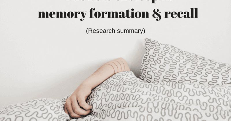 Do Not Underestimate The Effect Of Sleep On Memory