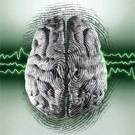 Do People With Different Personalities Have Different Brains?