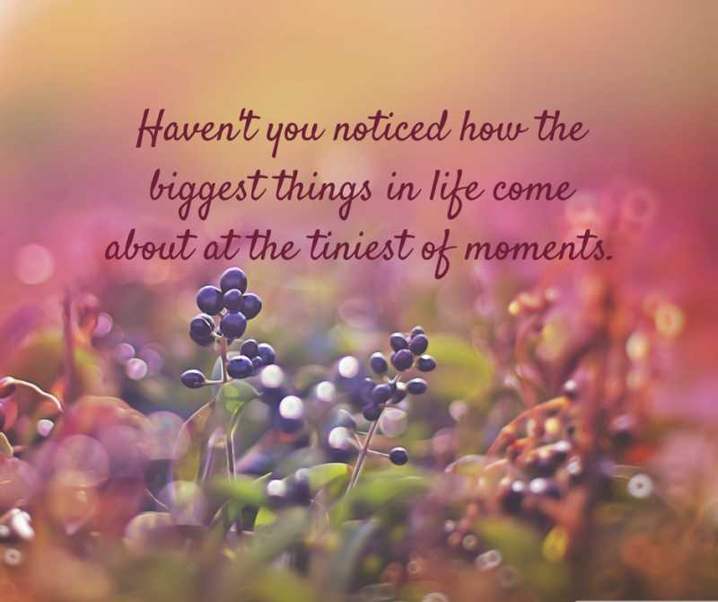 Do You Believe In Coincidences?