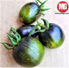 Do You Know What These Juicy Veggies Are?