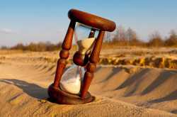 Does Success Have a Deadline? How Late is Too Late? - The Bonsai Mag