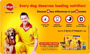 Dogs Deserve Nutrition