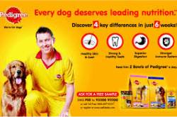 Dogs Deserve Nutrition