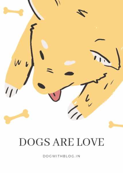 Dogs Are Love