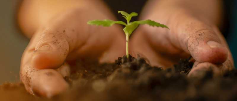 Doing Things Slowly: What I Have Learnt And Why It