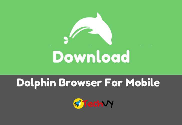 Dolphin Browser Apk Free Download On Smartphone - Techvy