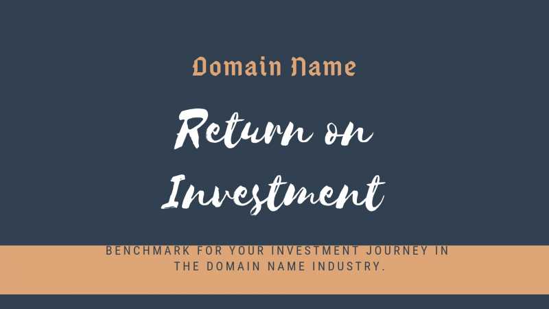 Domain Name Investing - How Much Money Can You Make ? | Netspace (India)