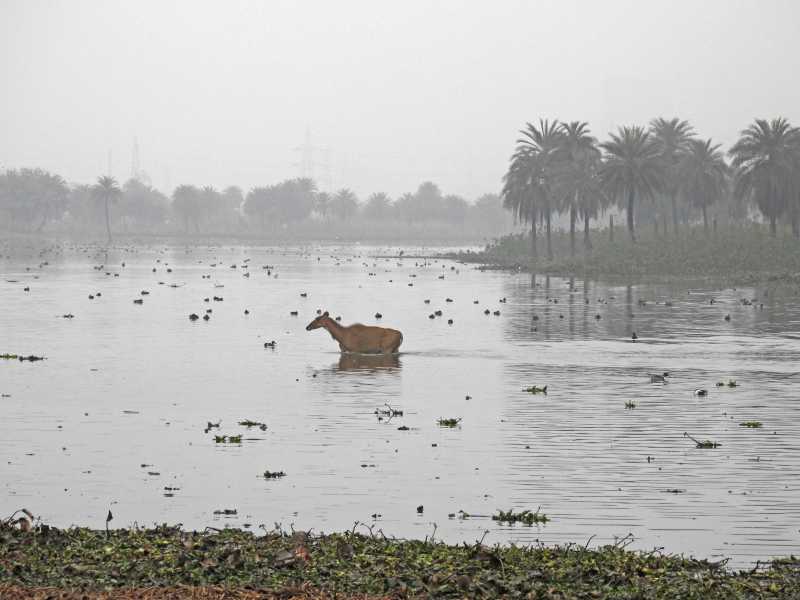 Don’t Tell Anyone About Surajpur