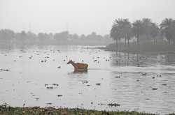 Don’t Tell Anyone About Surajpur