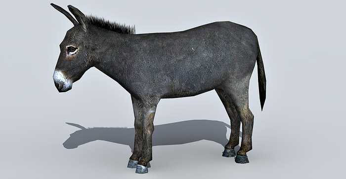 Donkey 3d Model