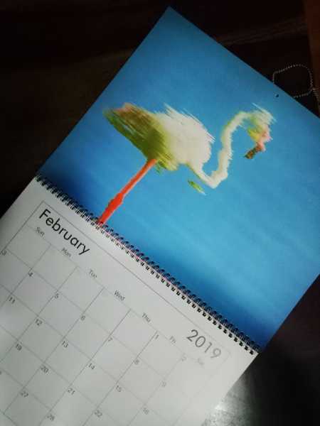 Download February 2019 Wallpaper Calendar Featuring A Dubai Flamingo