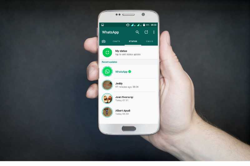 Download Someone WhatsApp Status Without Any App In 30 Second