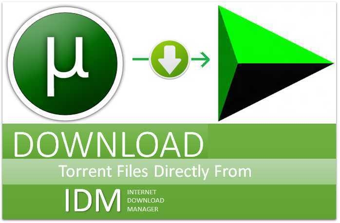 Download Torrent Files Directly With IDM: 4 Best Websites | Live The Tech