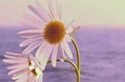 Dream Big and Be Yourself