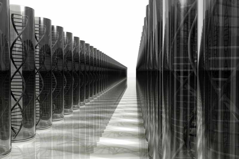 Dream, Imagination, Possibility, Reality - Human And Science