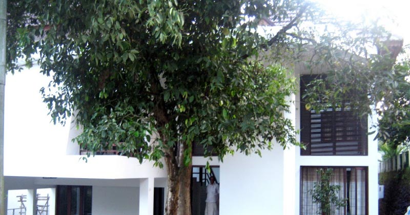 Dream Come True......