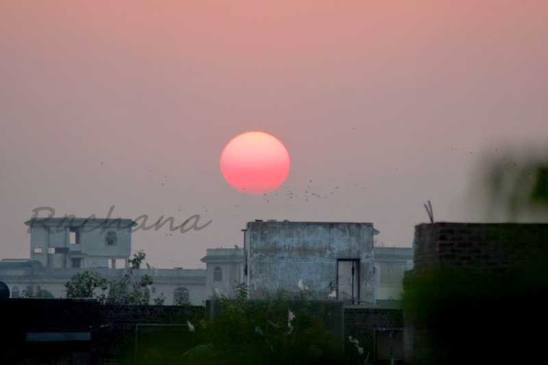 Dream Days In My India..