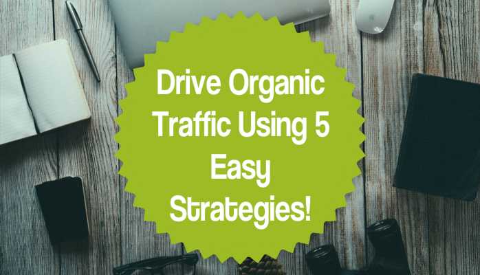 Drive Organic Traffic Using 5 Strategies & You Don