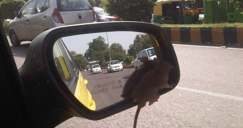 Driving Adventures - Part VI