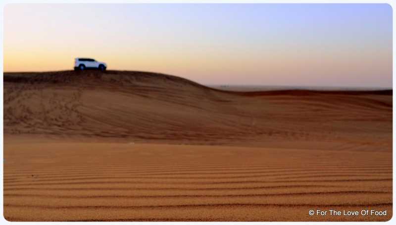 Dubai & Abu Dhabi # 6: Day 3 Part 2 - Desert Safari