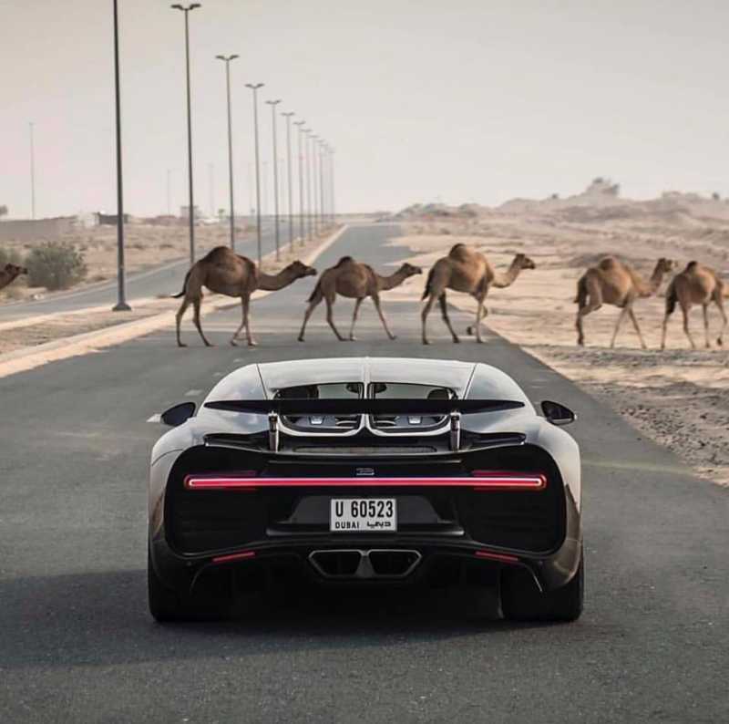 Dubai City Is Amazing Place! | With Love From The UAE!