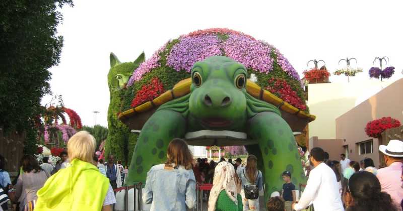 Dubai Miracle Garden - A Visual Treat 