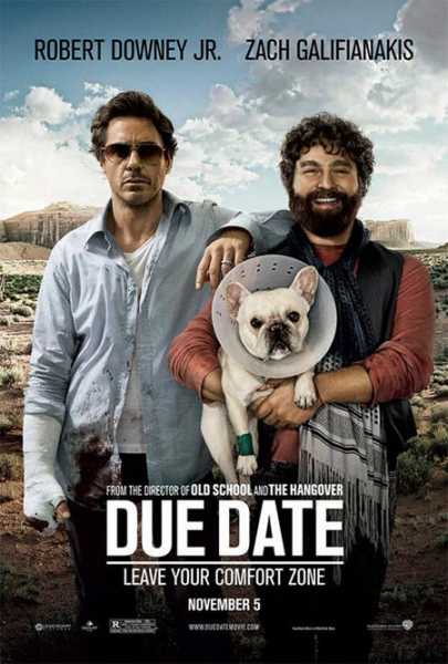 Due Date (2010)  Dual Audio (Hindi / English)