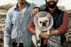 Due Date (2010)  Dual Audio (Hindi / English)