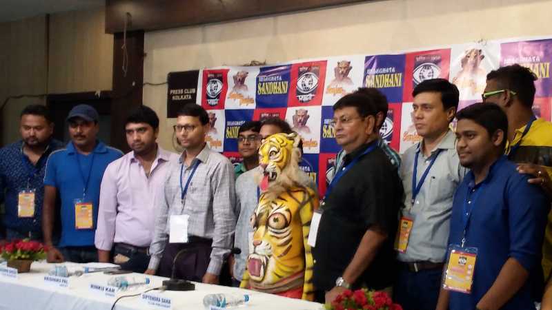 Durga Pujo Theme  -Tiger Conservation