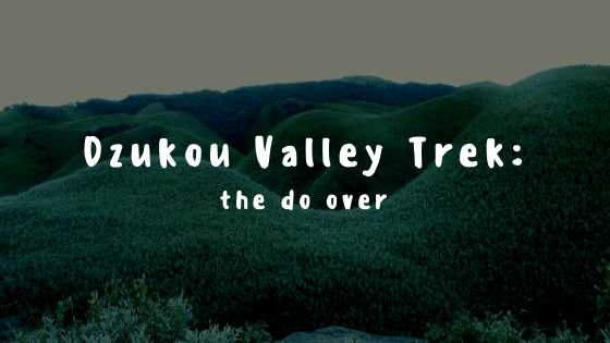 Dzukou Valley Trek: The Do Over | Nomadic Thunker