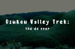 dzukou valley trek: the do over | nomadic thunker