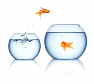 E-Commerce Breaking Barriers - Pranav Bhasin