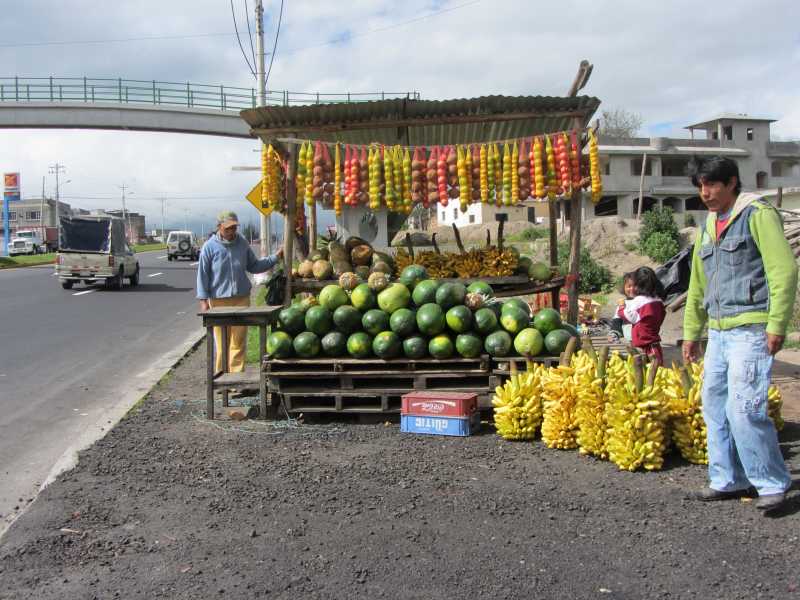 ECUADOR - Cotopaxi National Park - Chimborazo - Palacio Real And Riobamba