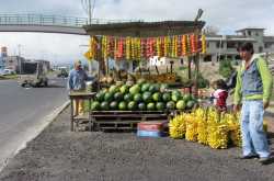 ECUADOR - Cotopaxi National Park - Chimborazo - Palacio Real and Riobamba
